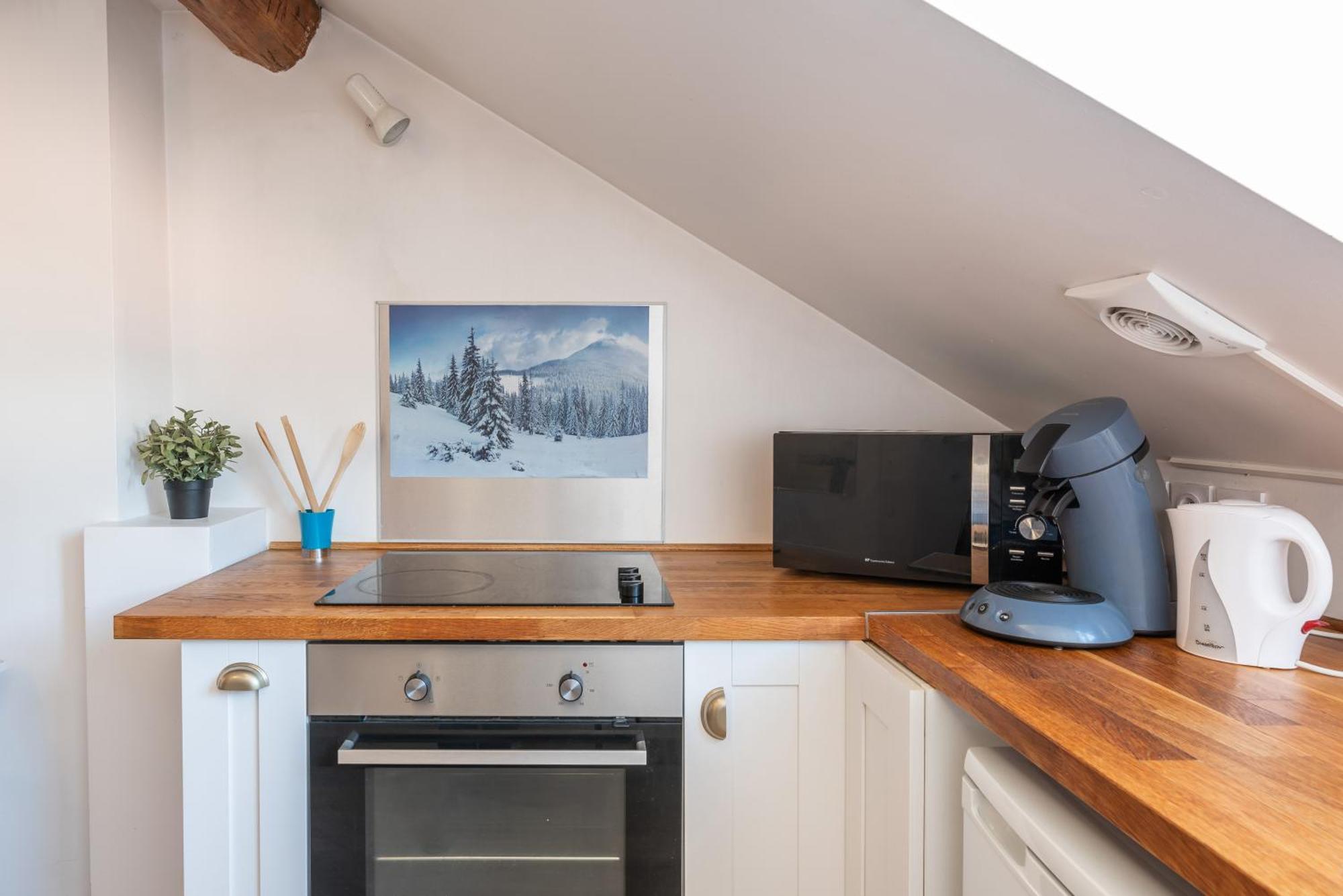 Le Prestige Grenoble Hypercentre Apartment Ngoại thất bức ảnh
