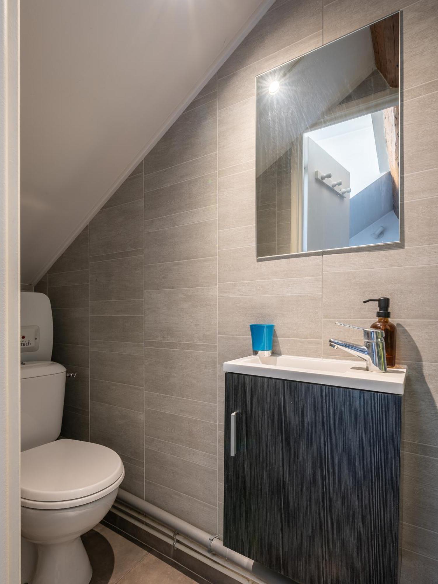 Le Prestige Grenoble Hypercentre Apartment Ngoại thất bức ảnh